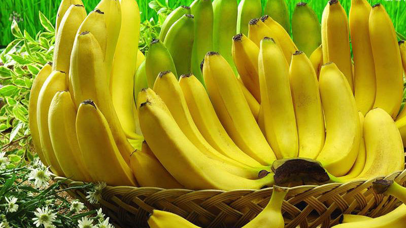 Giới thiệu các loại chuối hiện nay và cách phân biệt từng loại chuối