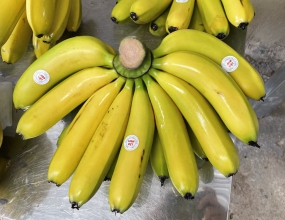 Chuối Laba Quốc Vương