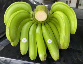 Chuối La Ba Quốc Vương